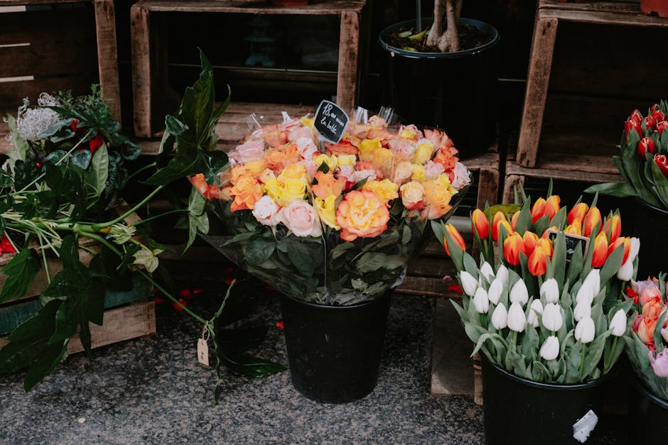 A black flowerpot contains a vibrant bouquet of peach, pink, and yellow roses with lush green leaves, arranged in a dense, rounded style. To the right, there is another black pot filled with white tul
